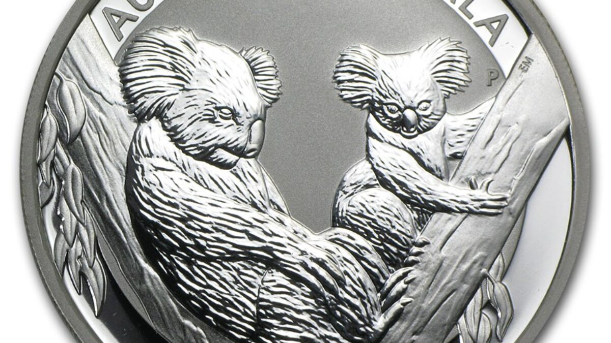 Australian Silver Koala