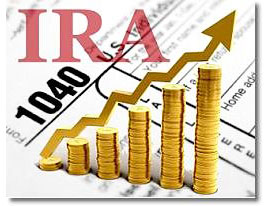 IRA Investment 2013