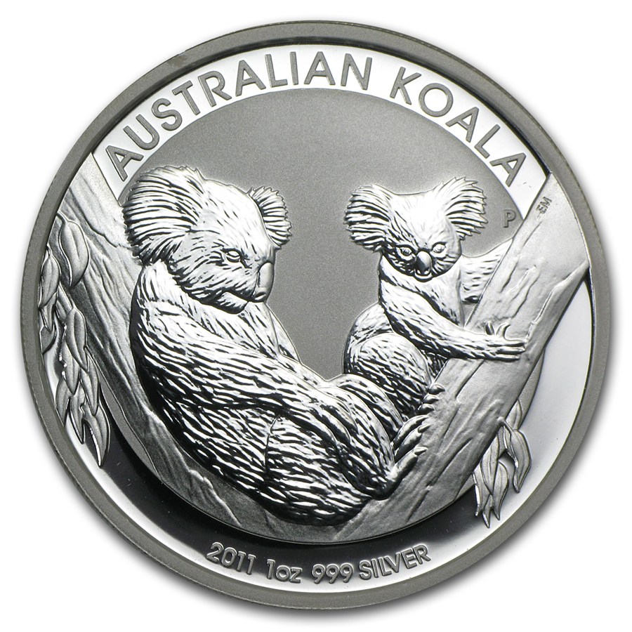 australian-koala