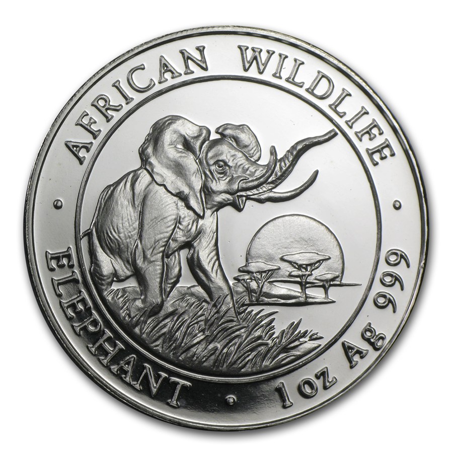 somalia-silver-elephant